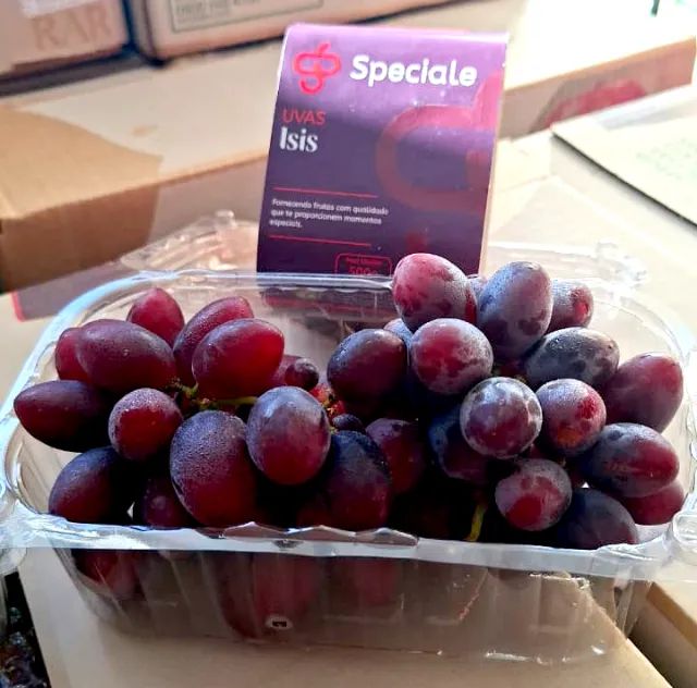 Uvas Selecionadas - Foto 5