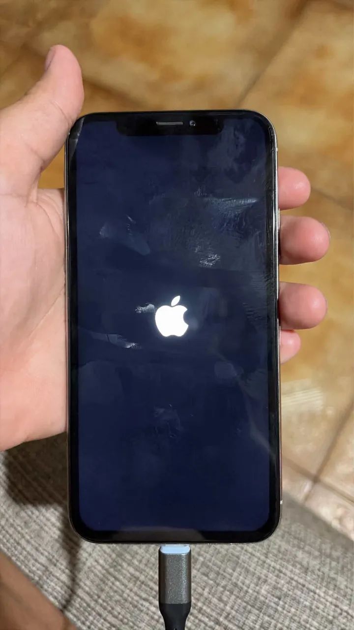 iPhone X