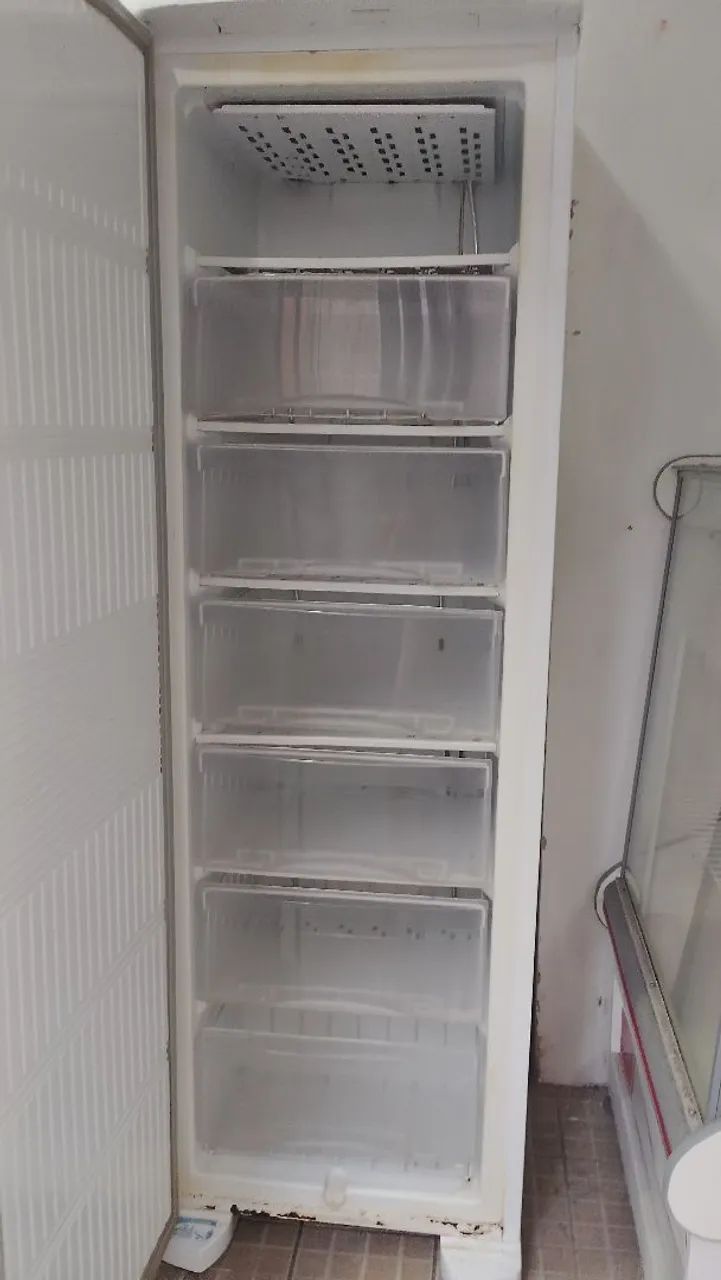 Frizeer vertical Eletrolux  - Foto 2