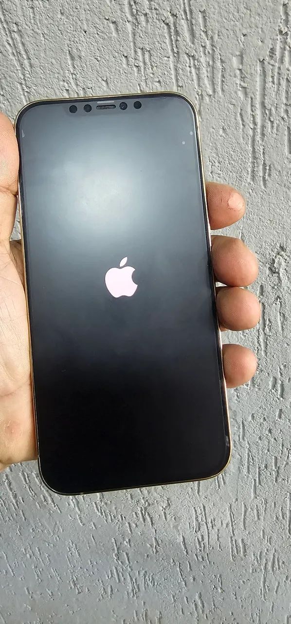 IPhone 12 pro Max 128gigas 