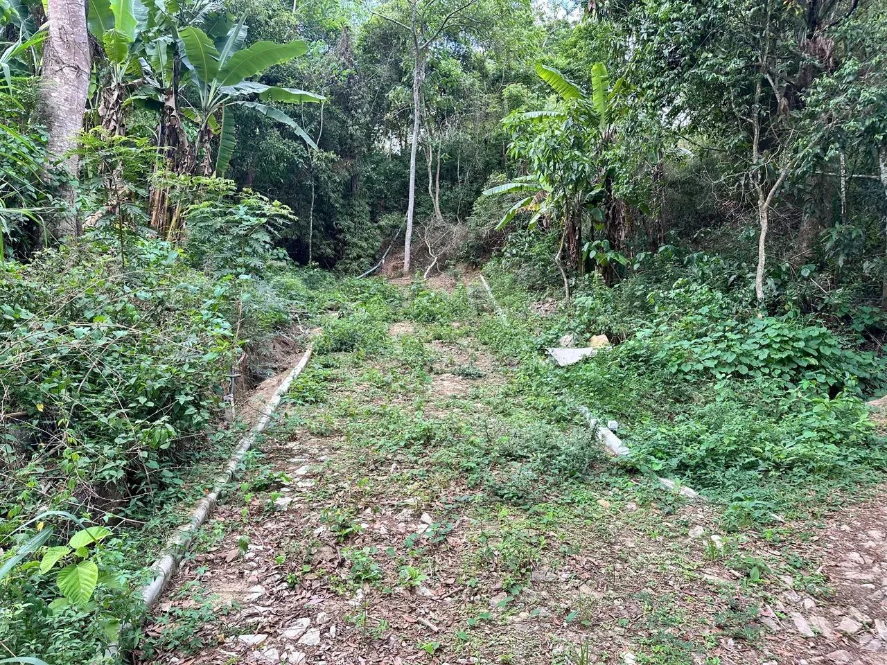Lotes De 10X30 Na Serra De Pacoti, As Margens Da Ce 065, 3 Minutos Do Centro! Cód. KT58SI - Foto 5