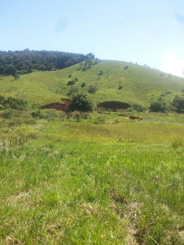 Sitio Taubaté 2,48 Alqs.ótima topografia só terra á 3 km da Rodovia Osvaldo cruz - Leia - Foto 8