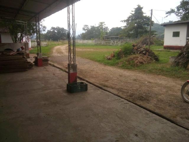 Linda fazenda em Cachoeiras de Macacu 20 alqueires oportunidade!!!! - Foto 15