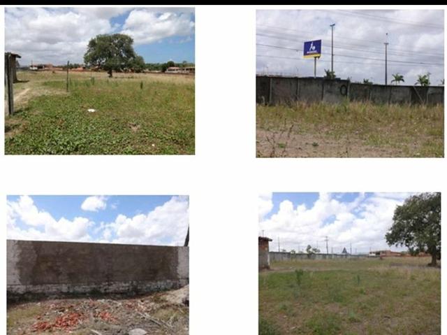 Terreno rural /genipabu /caucaia - ce - Foto 5