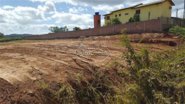 Terreno à venda em Costa do ipiranga, Gravataí cod:1013 - Foto 15