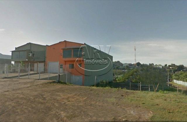 Galpão/depósito/armazém para alugar em Passo do hilário, Gravataí cod:1736 - Foto 2
