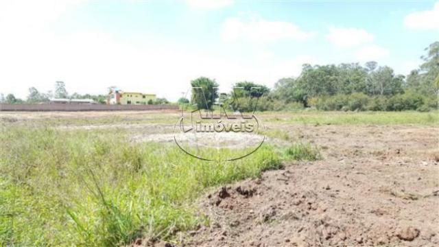 Terreno à venda em Costa do ipiranga, Gravataí cod:1013 - Foto 18
