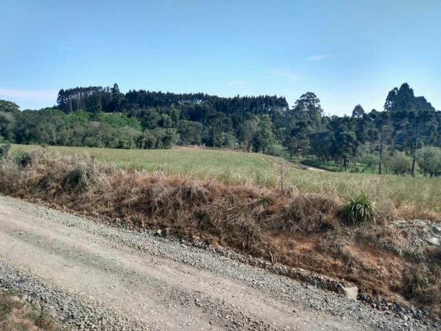 Lindo terreno para chácara - Foto 3