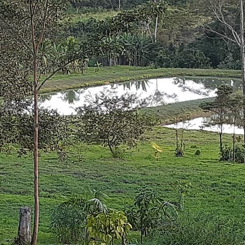 Vendo ou Troco chácara no km14 da Transacreana - Foto 2