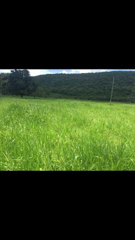 Vendo 650 equitares 85 km de Cuiabá - Foto 5
