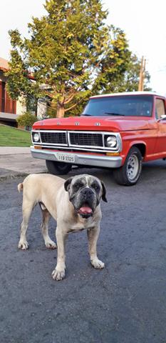 F100 raridade!! - Foto 5