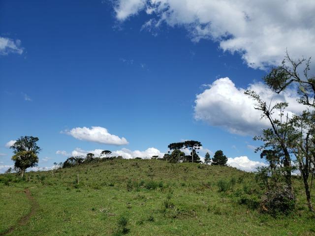 Sitio em Urubici /chácara dentro da cidade/área rural na cidade de Urubici - Foto 15