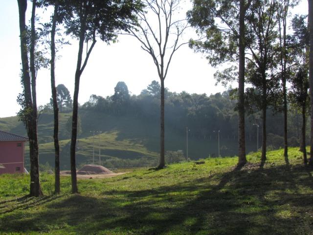 Chácara 4,5 Alqueires para Eventos - Mandirituba - Foto 10