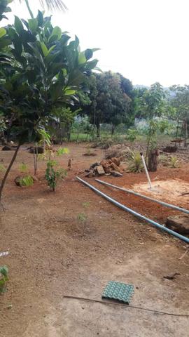 Vendo sitio em nova Ibia - Foto 4