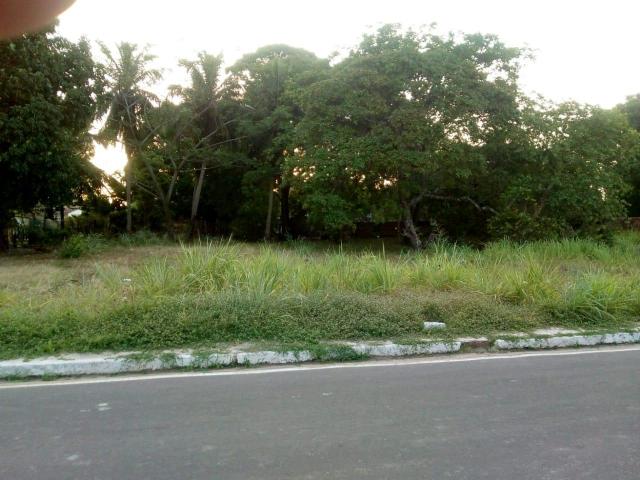 Terreno 40x50 em Maruda-Pa - Foto 6