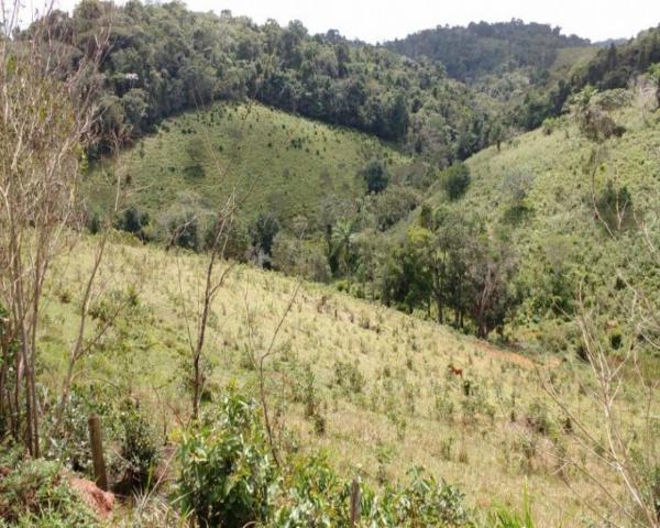 Fazenda sempre alegre a 20km de ilhéus - Foto 12