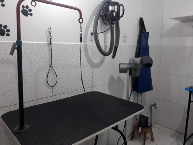 Passo Petshop - TURU - Foto 6