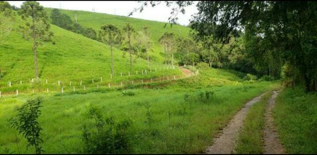 Fazenda em Campo Magro 60 Alqueires - Foto 2