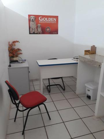 Passo Petshop - TURU - Foto 4