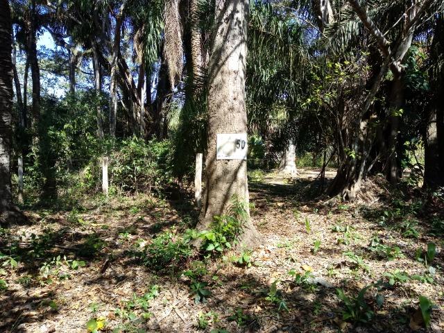 Rancho beira do rio cuiaba - Foto 9