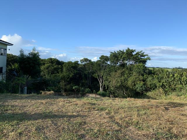 Lote - condomínio Laura Bandeira de Melo - Paudalho - PE