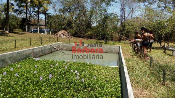 Sítio à venda em Ipiíba, São gonçalo cod:158 - Foto 8