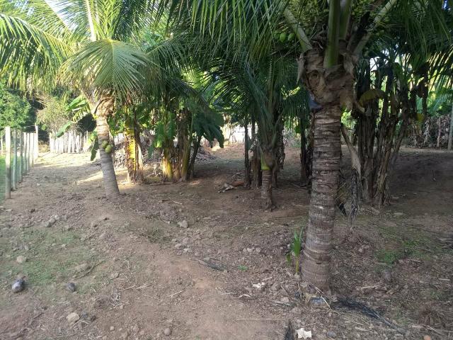 Vende se chácara - Foto 2