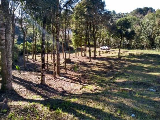Terreno - Bairro Vale dos Pinheiros - Foto 2