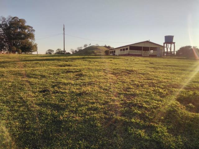 8271 | Fazenda à venda em ZONA RURAL, Cascavel - Foto 6