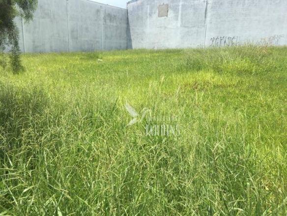 Terreno para alugar, 369 m² por R$ 2.000/mês - Portal de Versalhes 1 - Londrina/PR - Foto 2