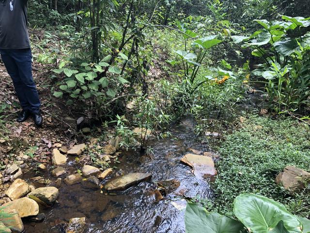Chácaras de 20 mil Mt a 50 km dê Goiânia! - Foto 13