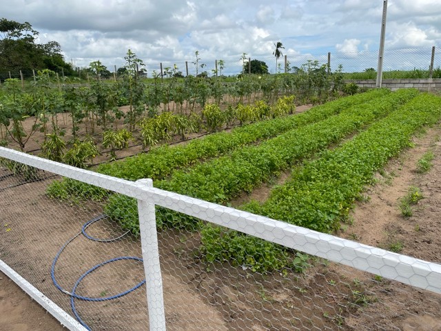 Vendo Fazendinha em São Gonçalo dos Campos 