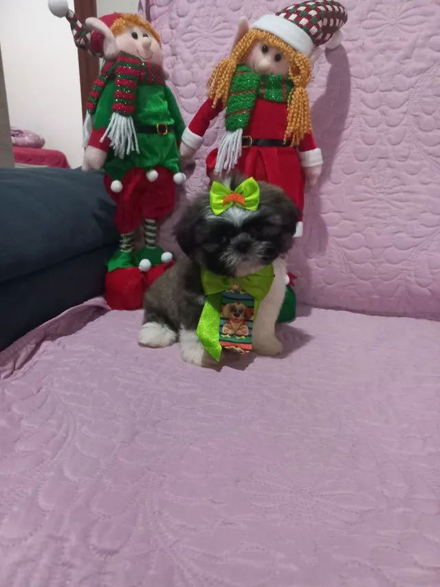 Miniaturas disponíveis  - Foto 4
