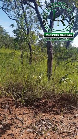 Fazenda 858 Alqueires Dupla Aptidão no Tocantins - Foto 2