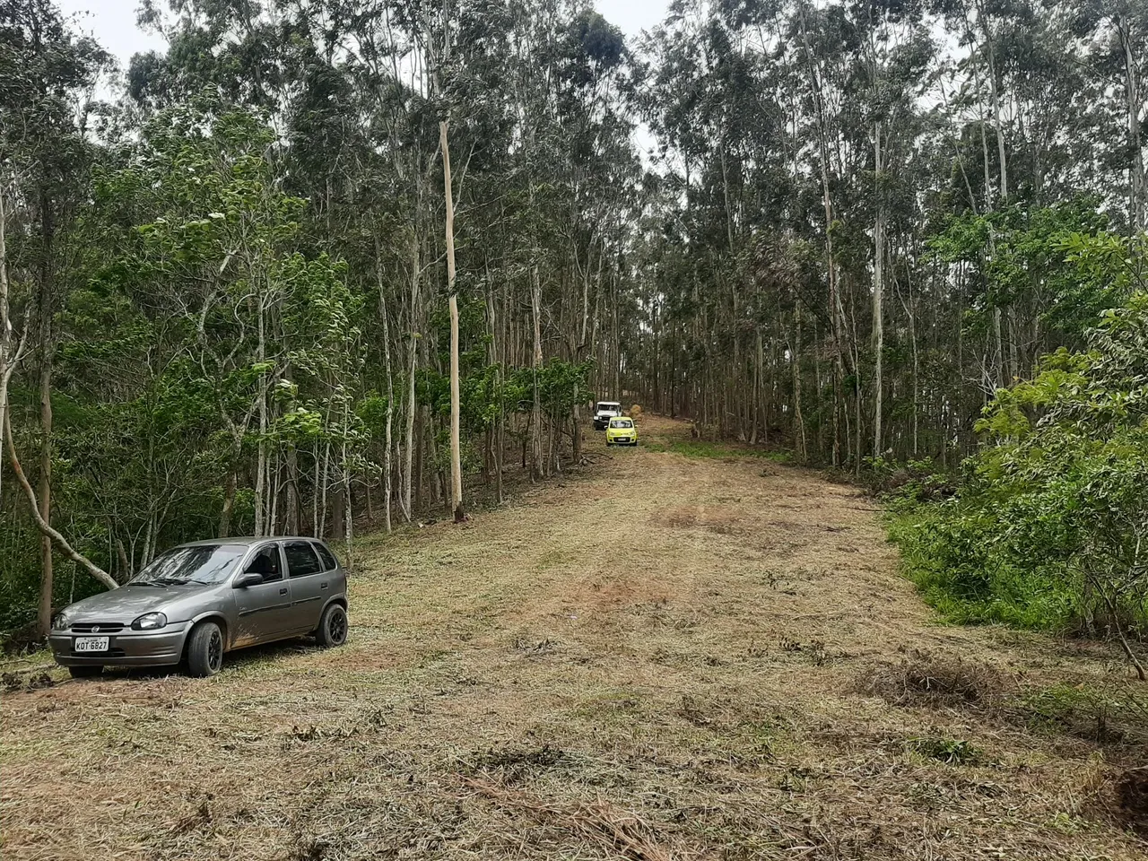 Lotes tipo sítio Mendes