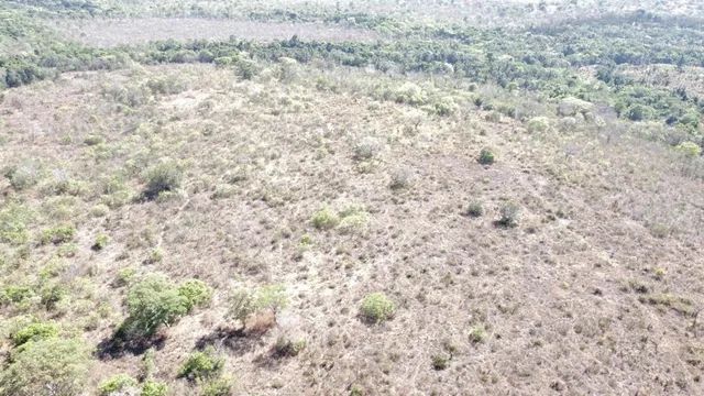 Sítio com 35 hectares  - Foto 3