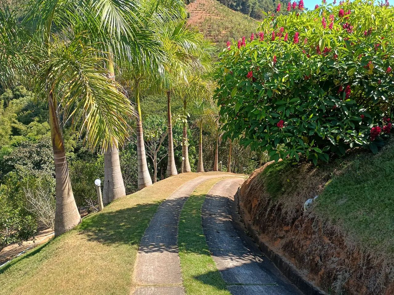 Sítio da Cachoeirinha Paraju Domingos Martins  - Foto 12