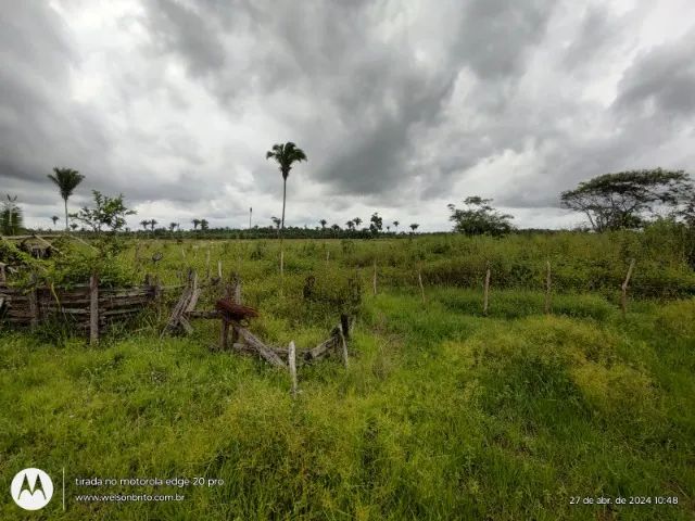 Fazenda em Matoes do Norte do Maranhão - Foto 5
