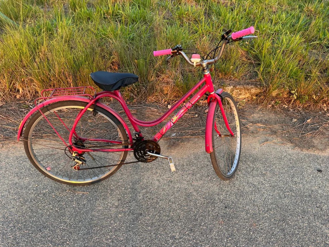 Bicicleta Ceci 26
