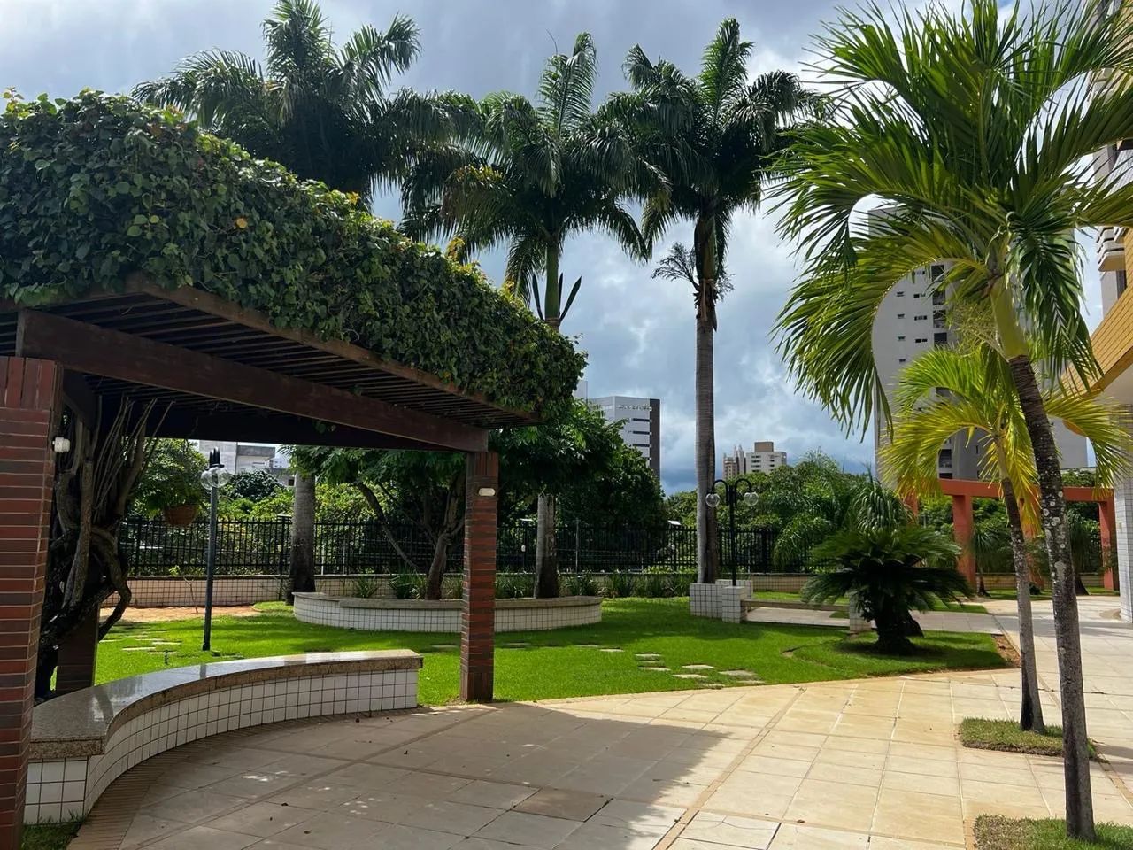 Foto - Natal - Ponta Negra