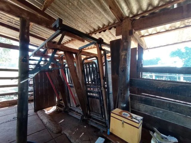 Fazenda à venda - 14 alqueires em Bela Vista de Goiás - diretamente com o proprietário - Foto 15