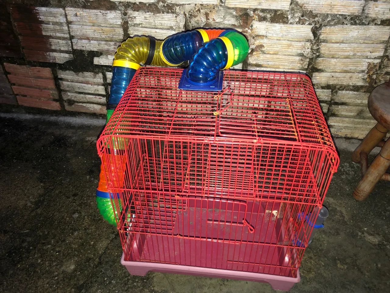 Gaiola de ramister - Foto 2