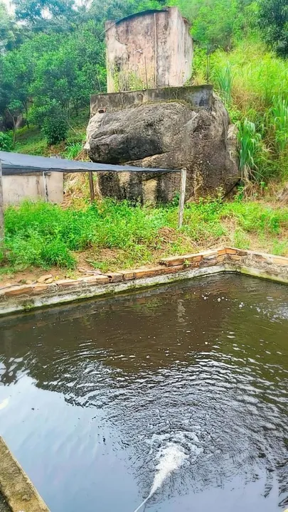 Sítio alugo,VENDO-TROCO-ACEITO SERVIÇOS DE MARCENARIA. MÃO DE OBRA PEDREIRO COM MATERIAL. 