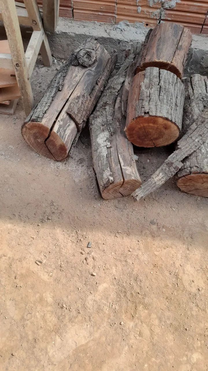 Lenha 64316917301123120