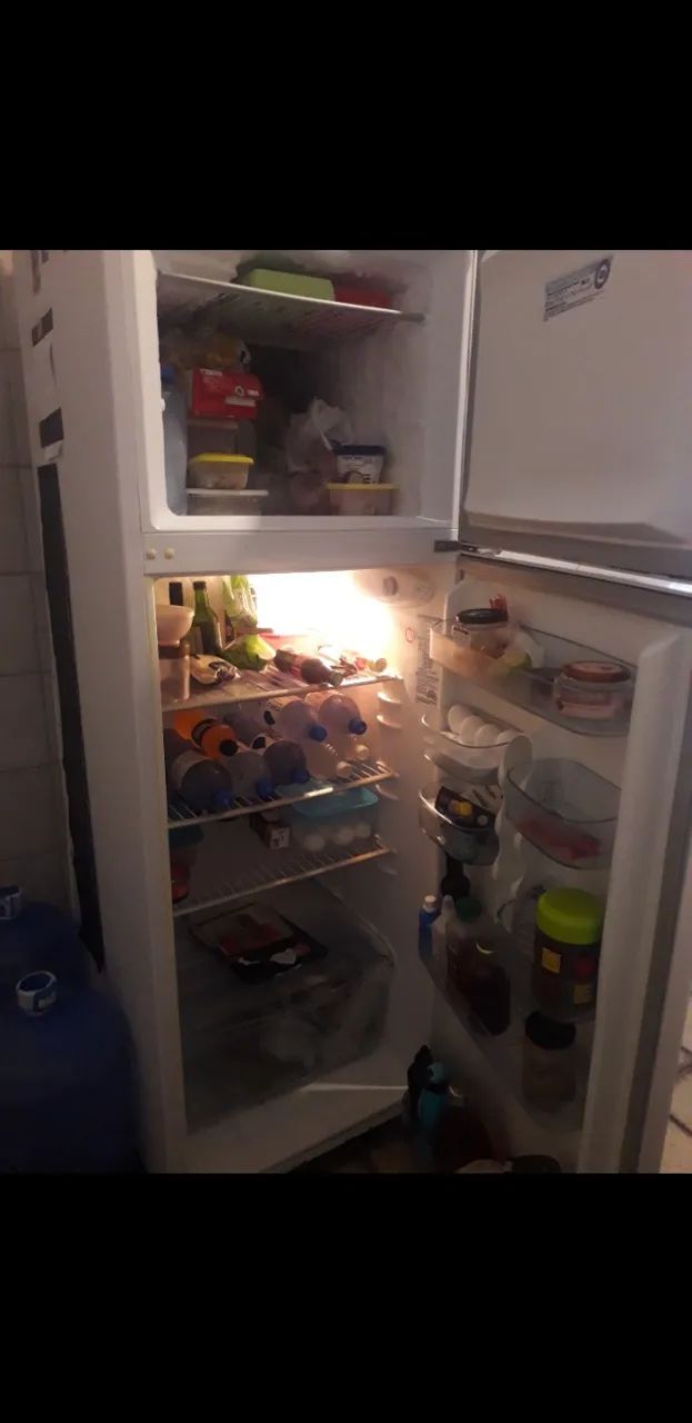 Geladeira Eletrolux Super Freezer 410 lts - Foto 5