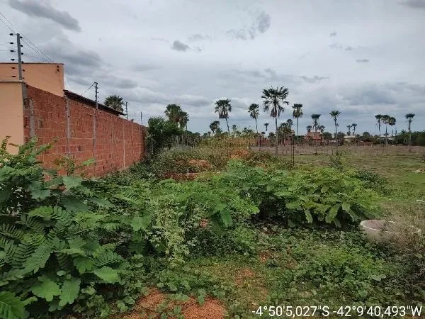 Vendo terreno em campo maior -pi