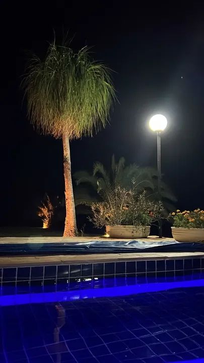 Fazenda à venda - 14 alqueires em Bela Vista de Goiás - diretamente com o proprietário - Foto 5