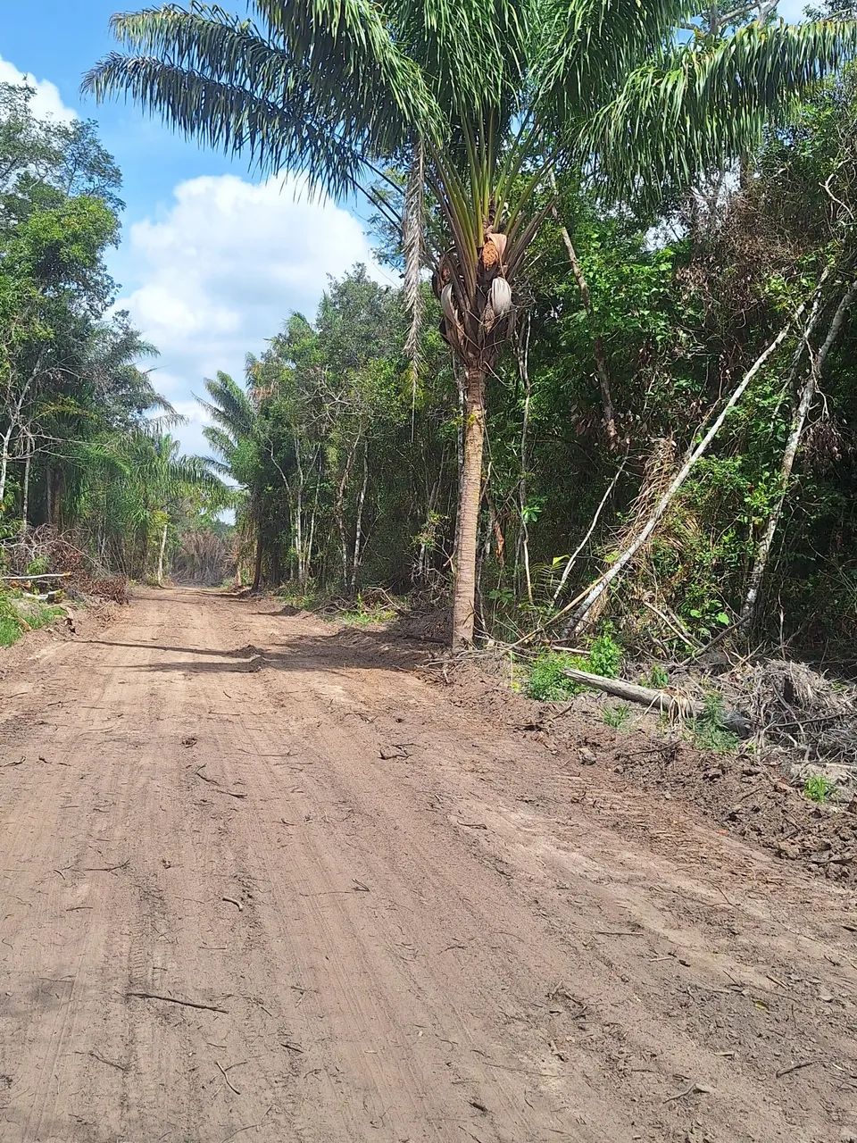 Vendo chácaras  - Foto 3