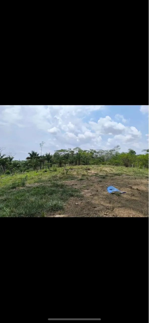 Vendo área de terra km 2 transacreana, as margens do rio Acre. - Foto 5
