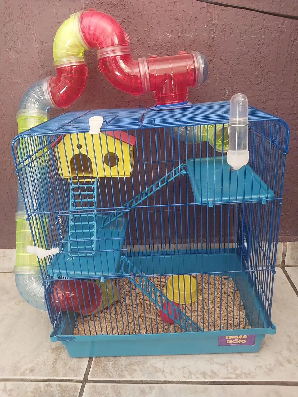  Hamster sirio albino
